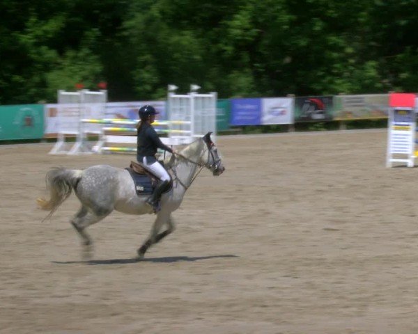 Reitturnier Alvern 2025