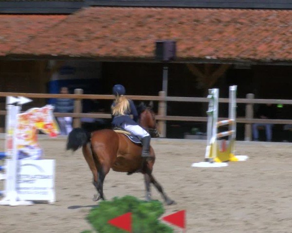 Reitturnier Alvern 2025
