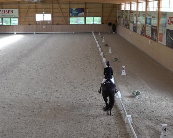 Reitturnier Aadorf 2025