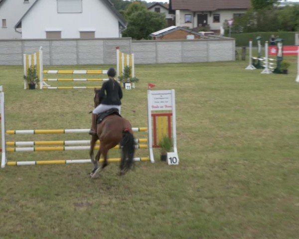 Reitturnier Buckow bei Beeskow (LOS) 2025