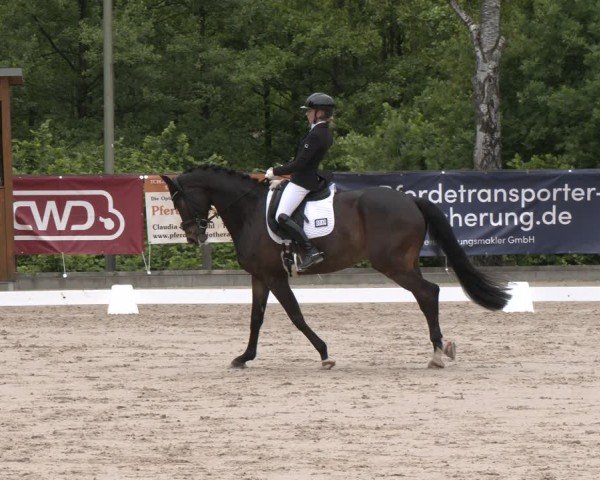 Reitturnier Erkrath - Uhlenhof 2025