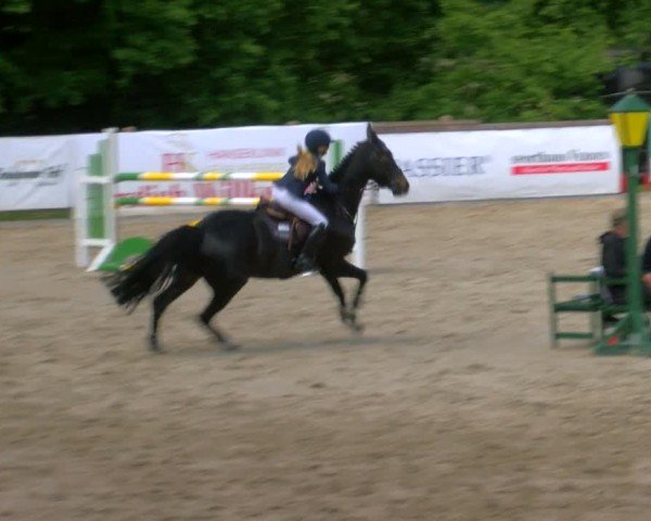 Reitturnier Alvern 2025