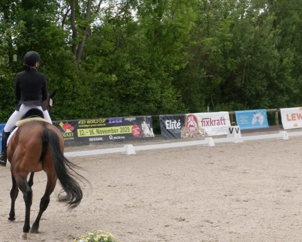 Reitturnier Leonberg 2025
