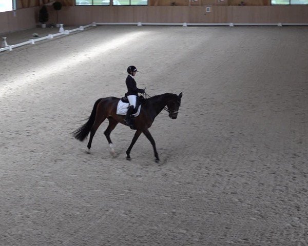 Reitturnier Aadorf 2025