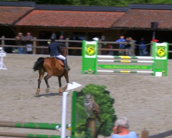 Reitturnier Alvern 2025