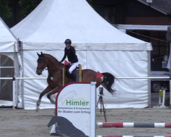 Reitturnier Ostenfelde-Vornholz 2025