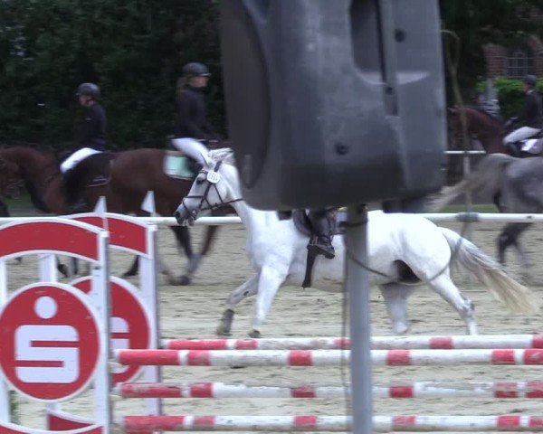 Reitturnier Ostenfelde-Vornholz 2025