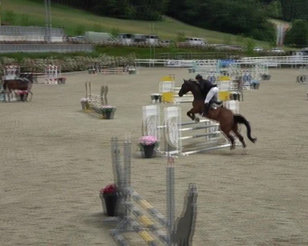 Reitturnier St. Margarethen 2025