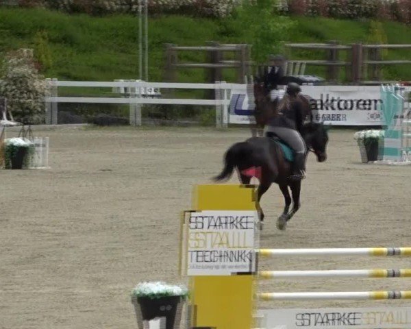 Reitturnier St. Margarethen 2025