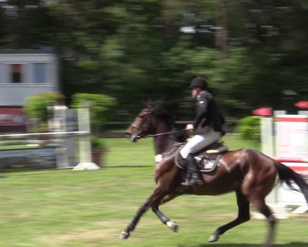 Reitturnier Zeven 2025