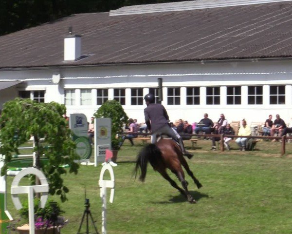 Reitturnier Zeven 2025