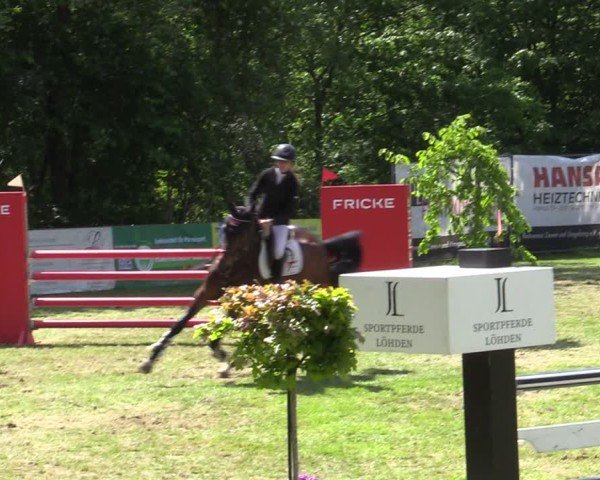 Reitturnier Zeven 2025