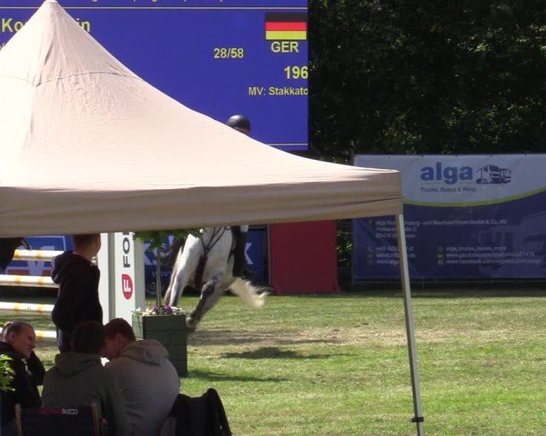 Reitturnier Zeven 2025