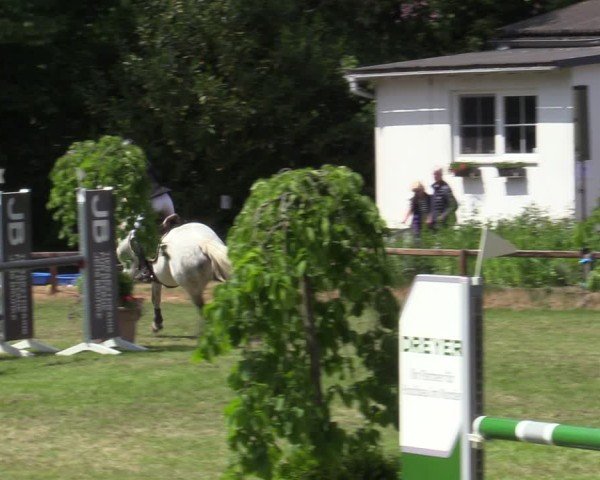 Reitturnier Zeven 2025