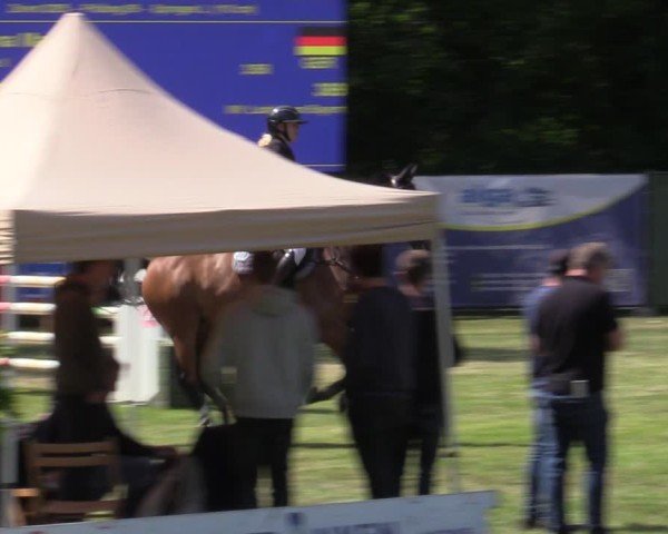 Reitturnier Zeven 2025