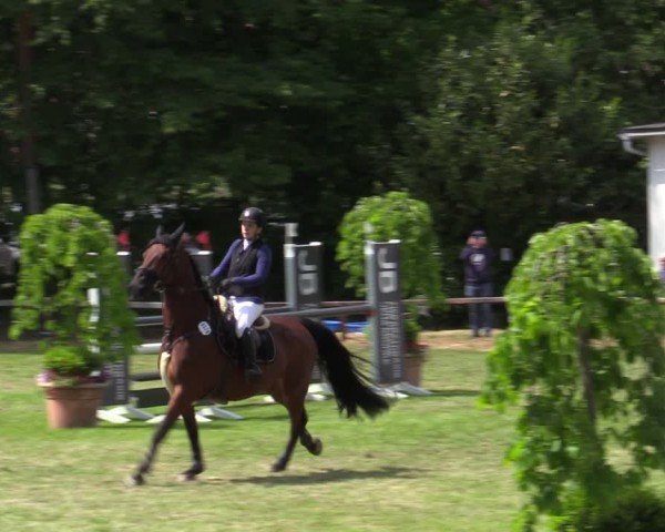 Reitturnier Zeven 2025