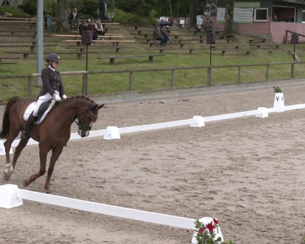 Reitturnier Erkrath - Uhlenhof 2025