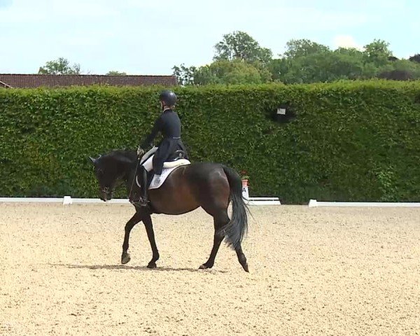 Reitturnier Notzing/Obb. 2025