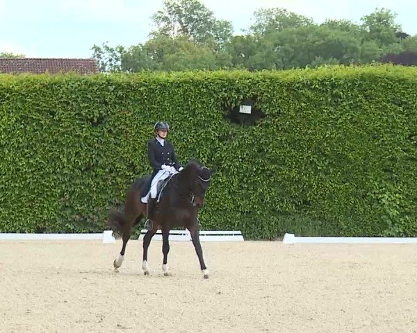 Reitturnier Notzing/Obb. 2025