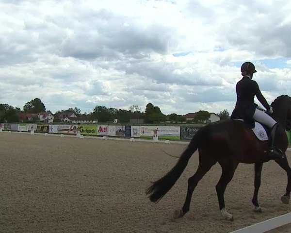 Reitturnier Notzing/Obb. 2025