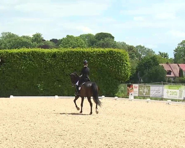 Reitturnier Notzing/Obb. 2025