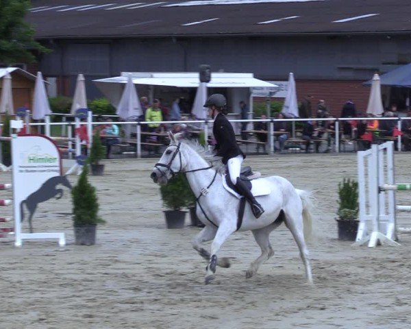 Reitturnier Ostenfelde-Vornholz 2025