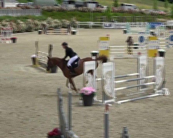 Reitturnier St. Margarethen 2025