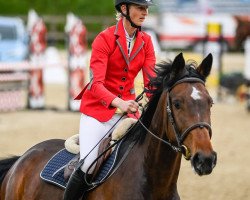 Springpferd Cute Girl du Perchet CH (Schweizer Warmblut, 2016, von Copain du Perchet CH)