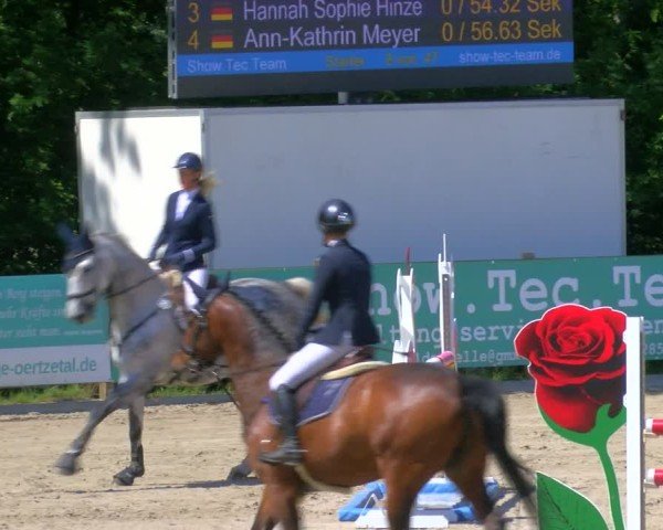 Reitturnier Alvern 2025