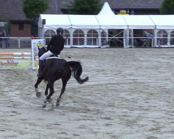 Reitturnier Ostenfelde-Vornholz 2025