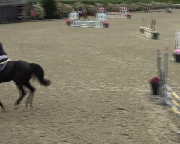 Reitturnier St. Margarethen 2025