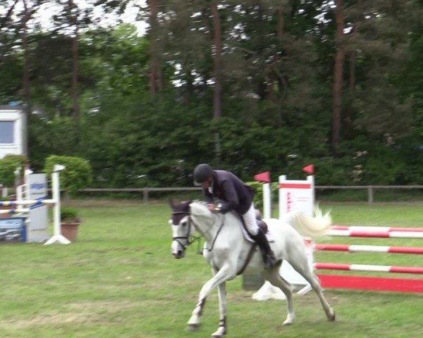 Reitturnier Zeven 2025