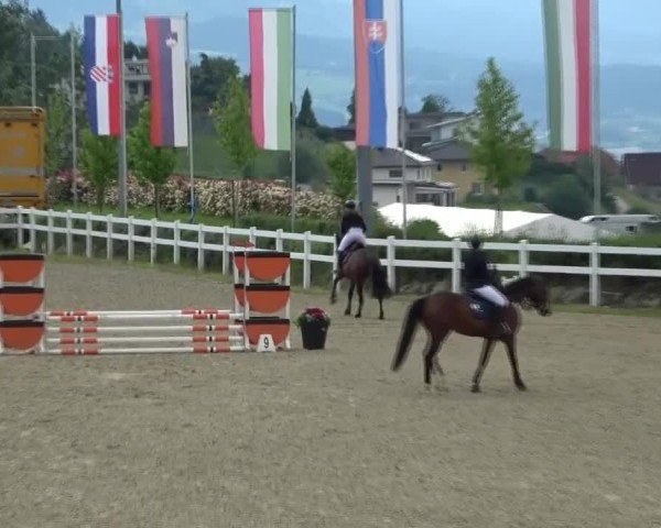 Reitturnier St. Margarethen 2025