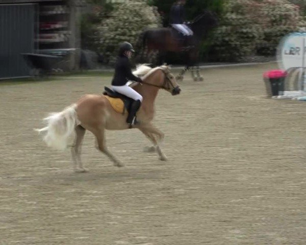 Reitturnier St. Margarethen 2025