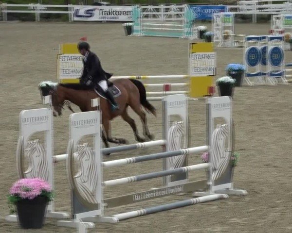 Reitturnier St. Margarethen 2025