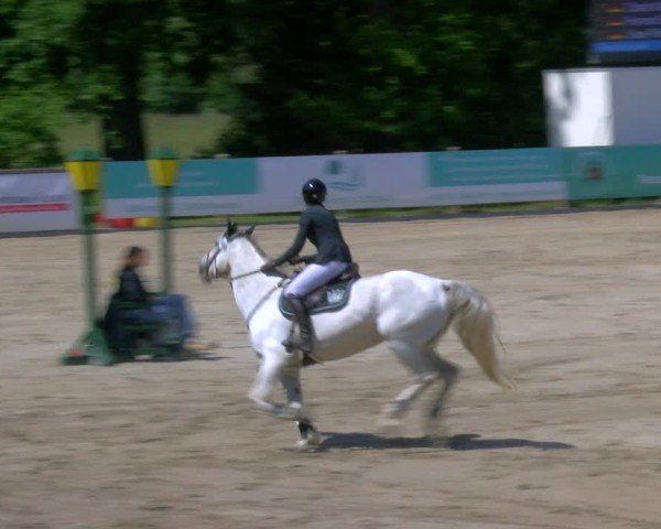 Reitturnier Alvern 2025