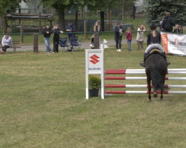 Reitturnier Buckow bei Beeskow (LOS) 2025