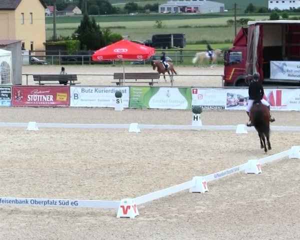Reitturnier Mallersdorf-Pfaffenberg/Ndb. 2025
