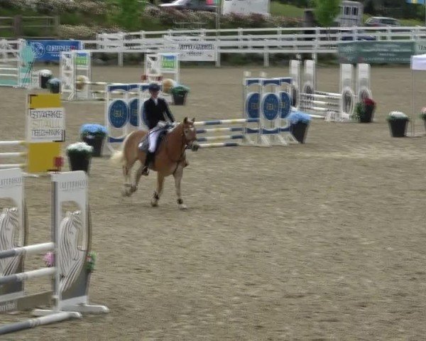 Reitturnier St. Margarethen 2025