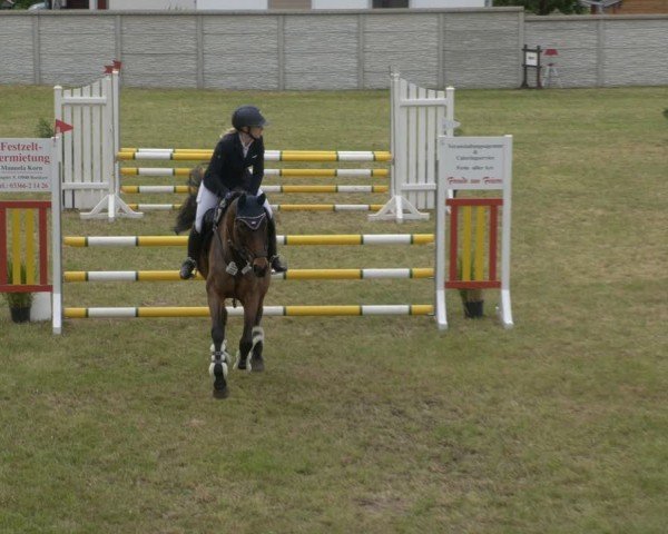 Reitturnier Buckow bei Beeskow (LOS) 2025
