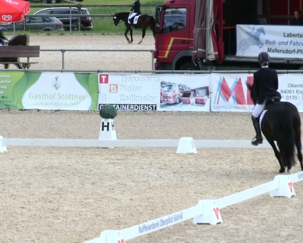 Reitturnier Mallersdorf-Pfaffenberg/Ndb. 2025