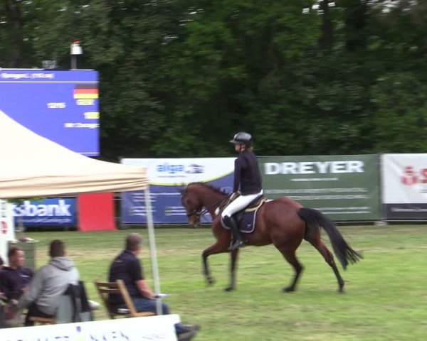 Reitturnier Zeven 2025