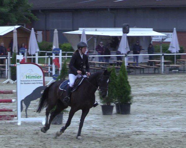 Reitturnier Ostenfelde-Vornholz 2025