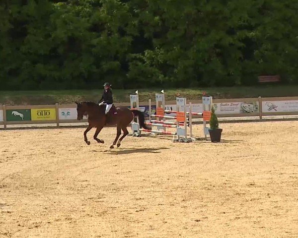Reitturnier Tiefenhof/Opf. 2025