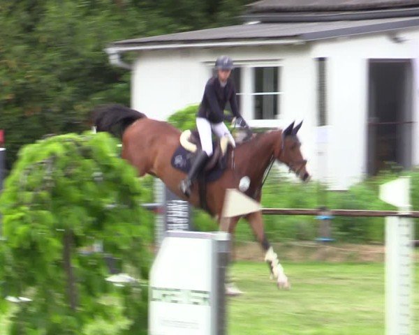 Reitturnier Zeven 2025