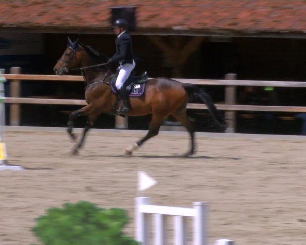 Reitturnier Alvern 2025