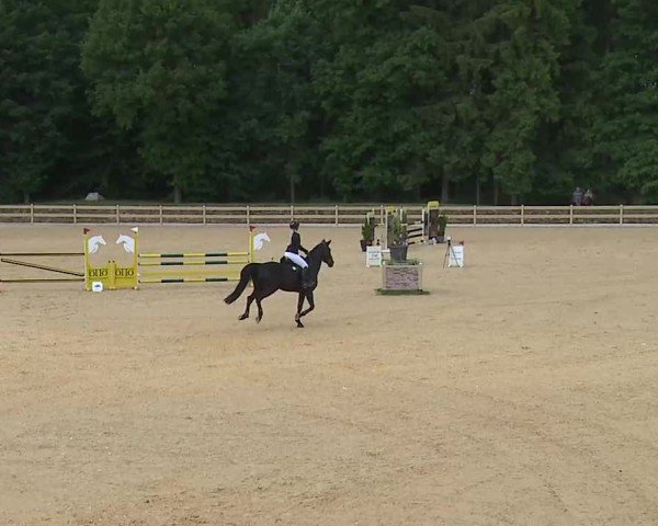 Reitturnier Tiefenhof/Opf. 2025