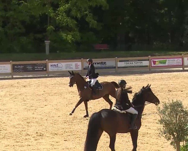 Reitturnier Tiefenhof/Opf. 2025