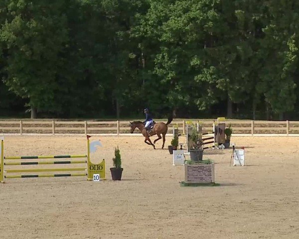 Reitturnier Tiefenhof/Opf. 2025