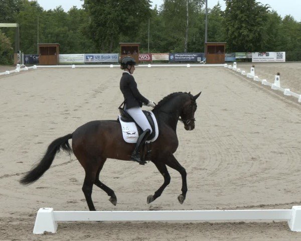 Reitturnier Erkrath - Uhlenhof 2025